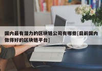 国内最有潜力的区块链公司有哪些[目前国内做得好的区块链平台]