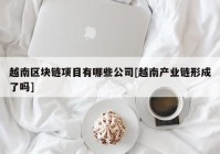 越南区块链项目有哪些公司[越南产业链形成了吗]